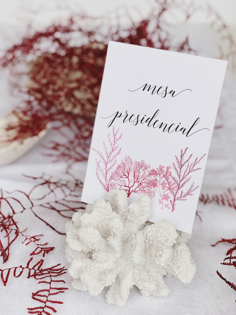 Número de mesa colección Arrecife de coral Marmarina